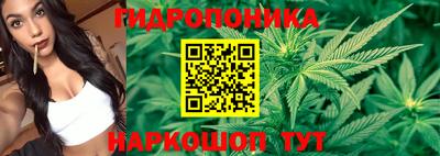 таблы Славгород
